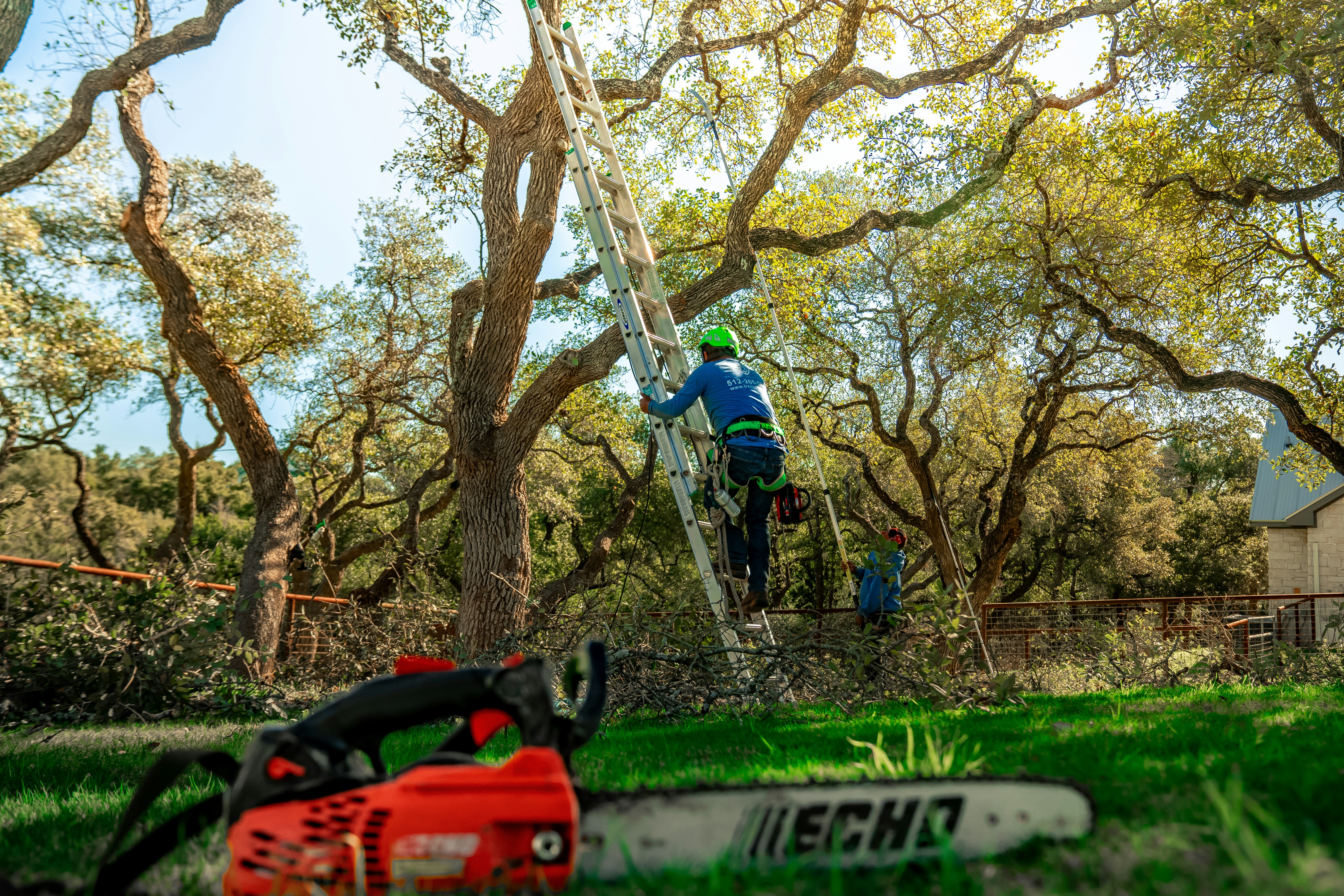 Land Clearing and Brush Management